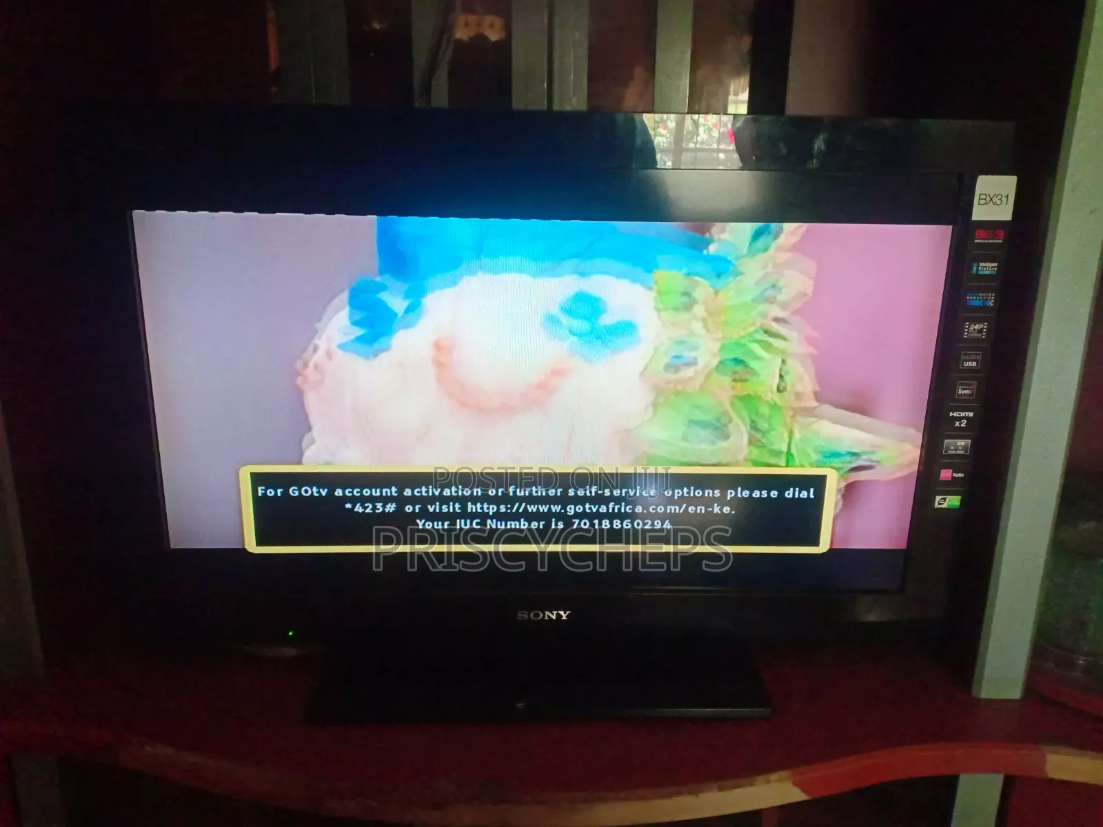 Sony 32 Inch TV
