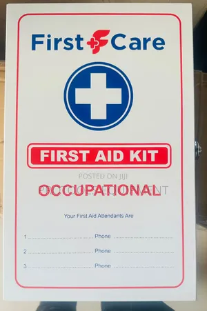 Big Occupational First Aid Kit