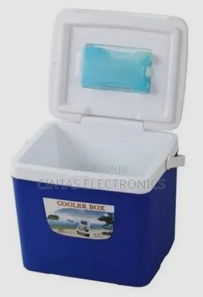 15L Insulated Portable Cooler Box