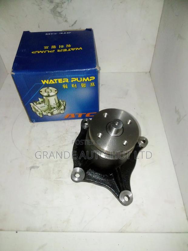 Water Pump Hyundai Hd65
