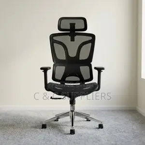 Mesh Orthopedic Desk Chair