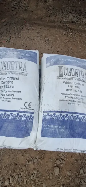 White Cement – Premium Finishing Cement