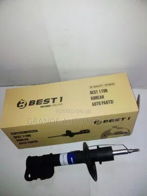 Front Shock Absorber Hyundai Santafe 2012 Left