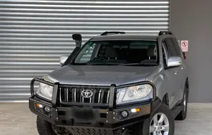 Steel Bull Bar FJ 150