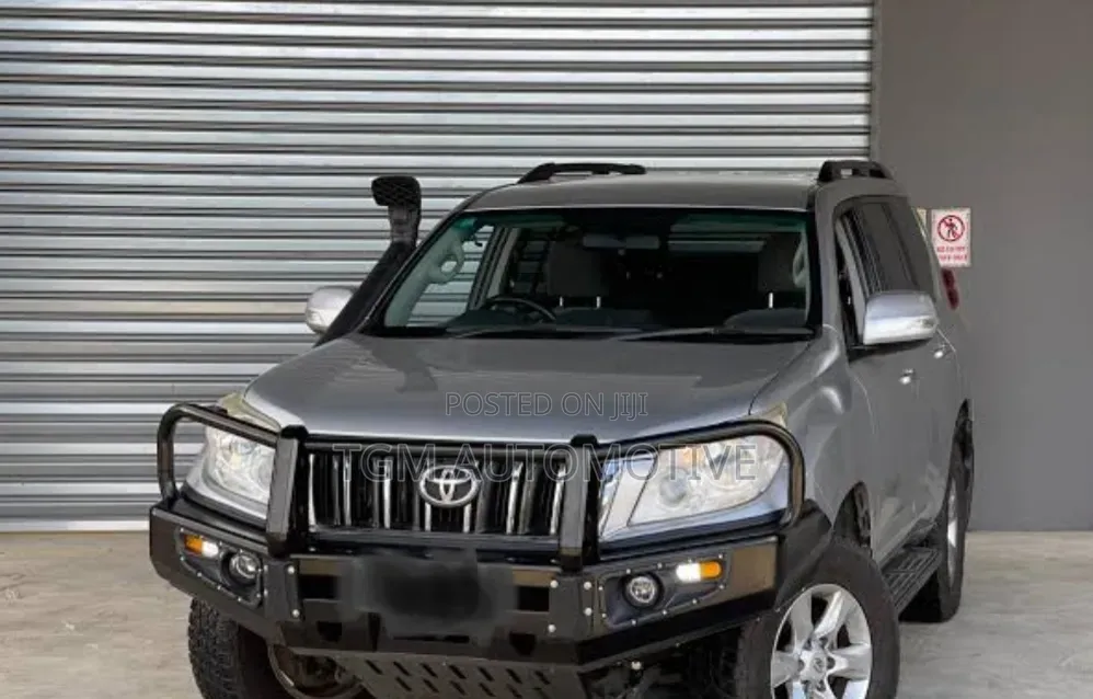 Steel Bull Bar FJ 150