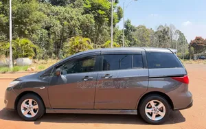 Nissan Lafesta 2013 Gray