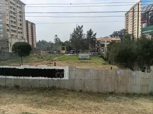 2X0.5 ACRE PLOTS TOGETHER, Touching Thika Road Around Garden City,