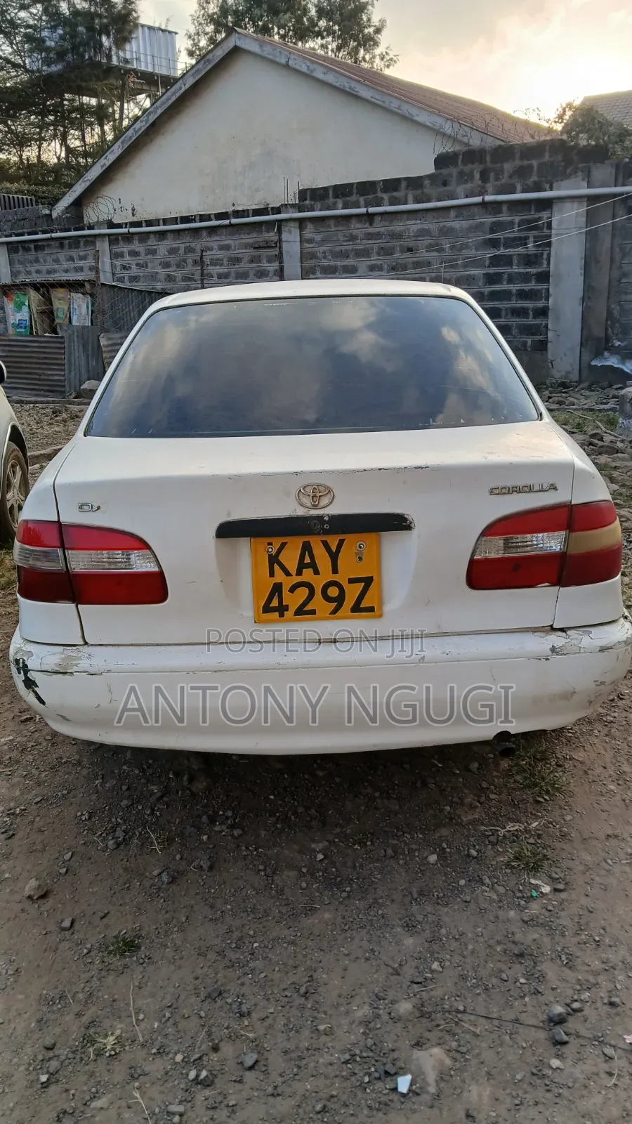 Toyota Corolla 2000 White