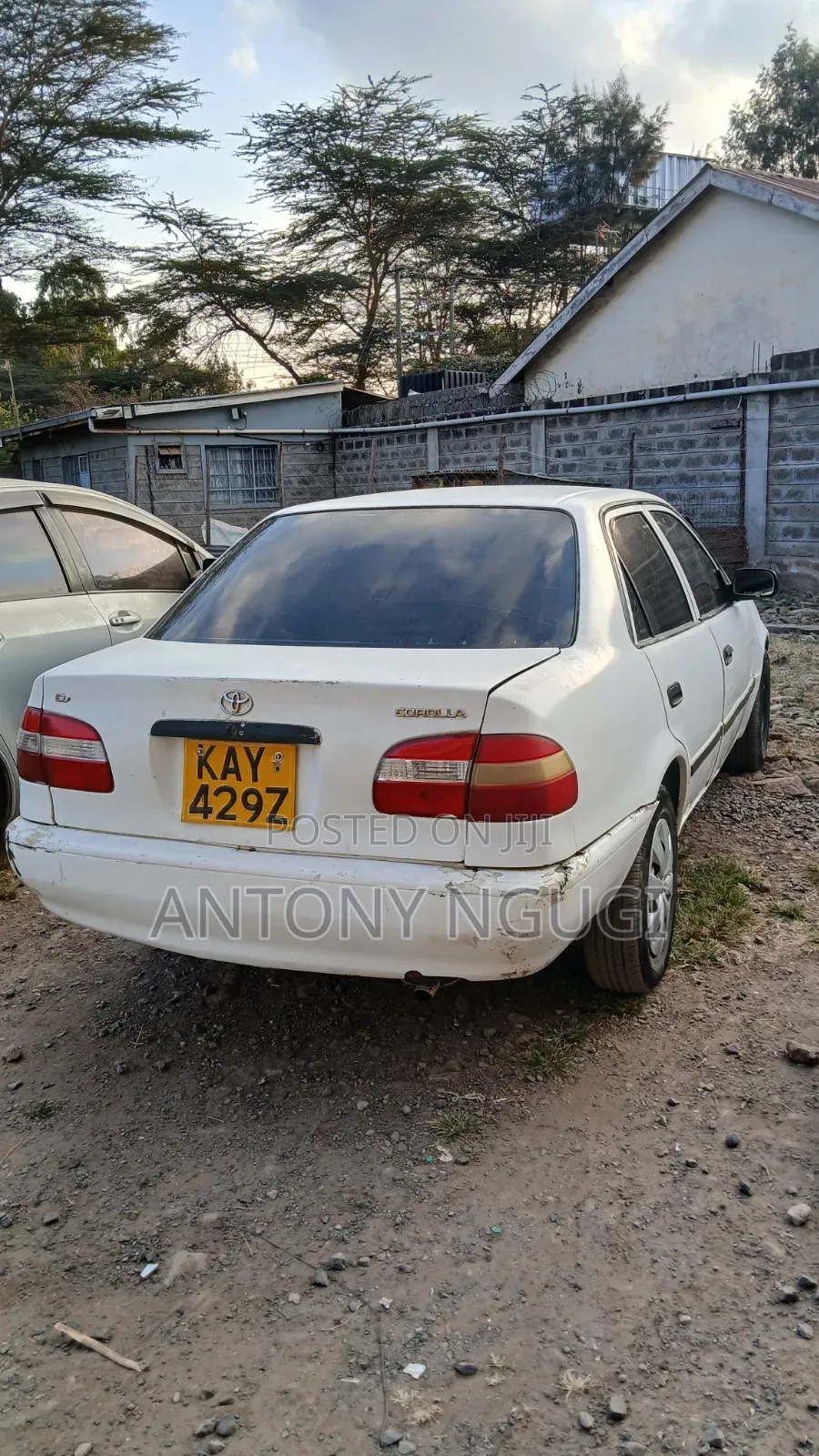 Toyota Corolla 2000 White