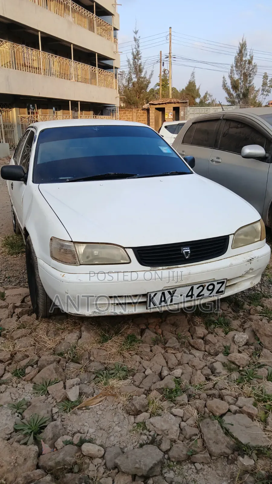 Toyota Corolla 2000 White