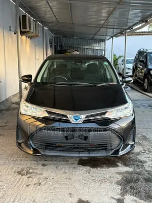 Toyota Axio 2019 Black