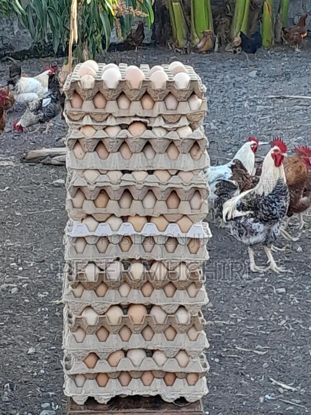 Improved Kienyenji Eggs