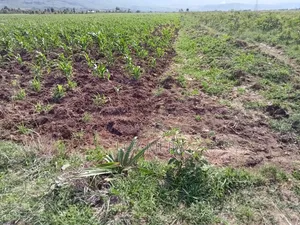 Land for Sale in Lusiget Kikuyu