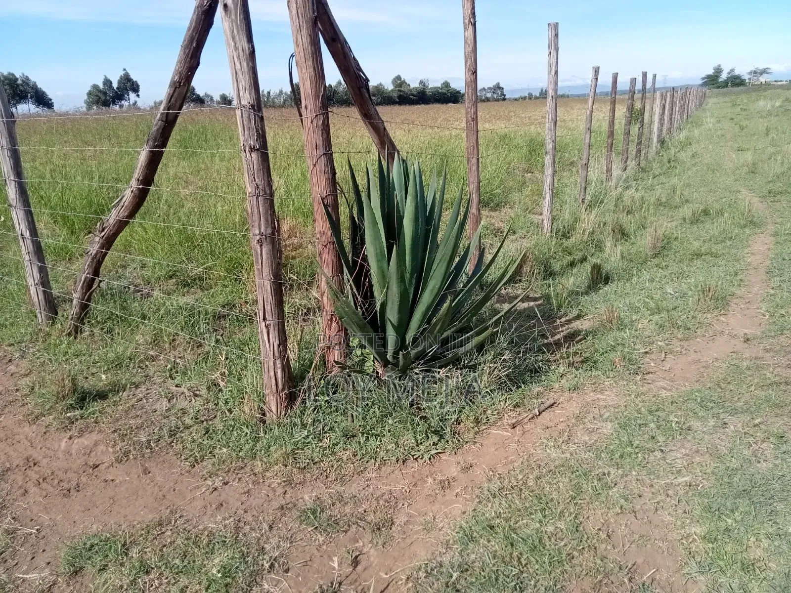 Land for Sale in Lusiget Kikuyu