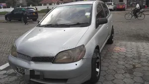 Toyota Platz 2003 Gray