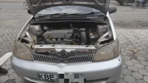 Toyota Platz 2003 Gray