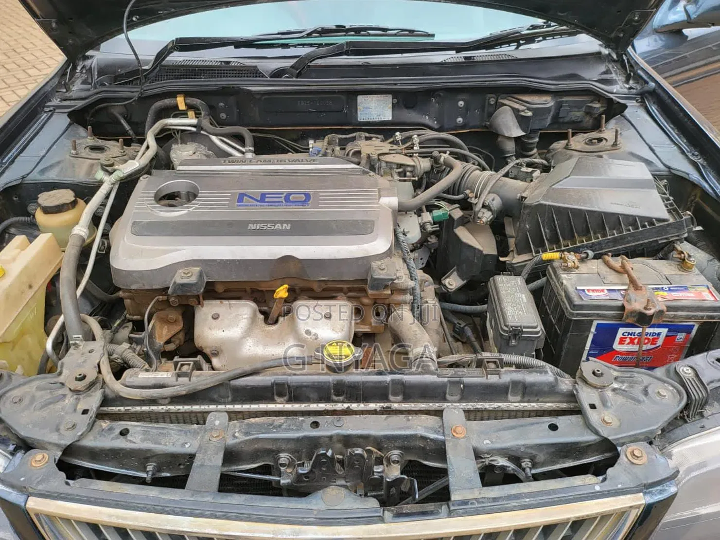 Nissan FB15 2001 Blue