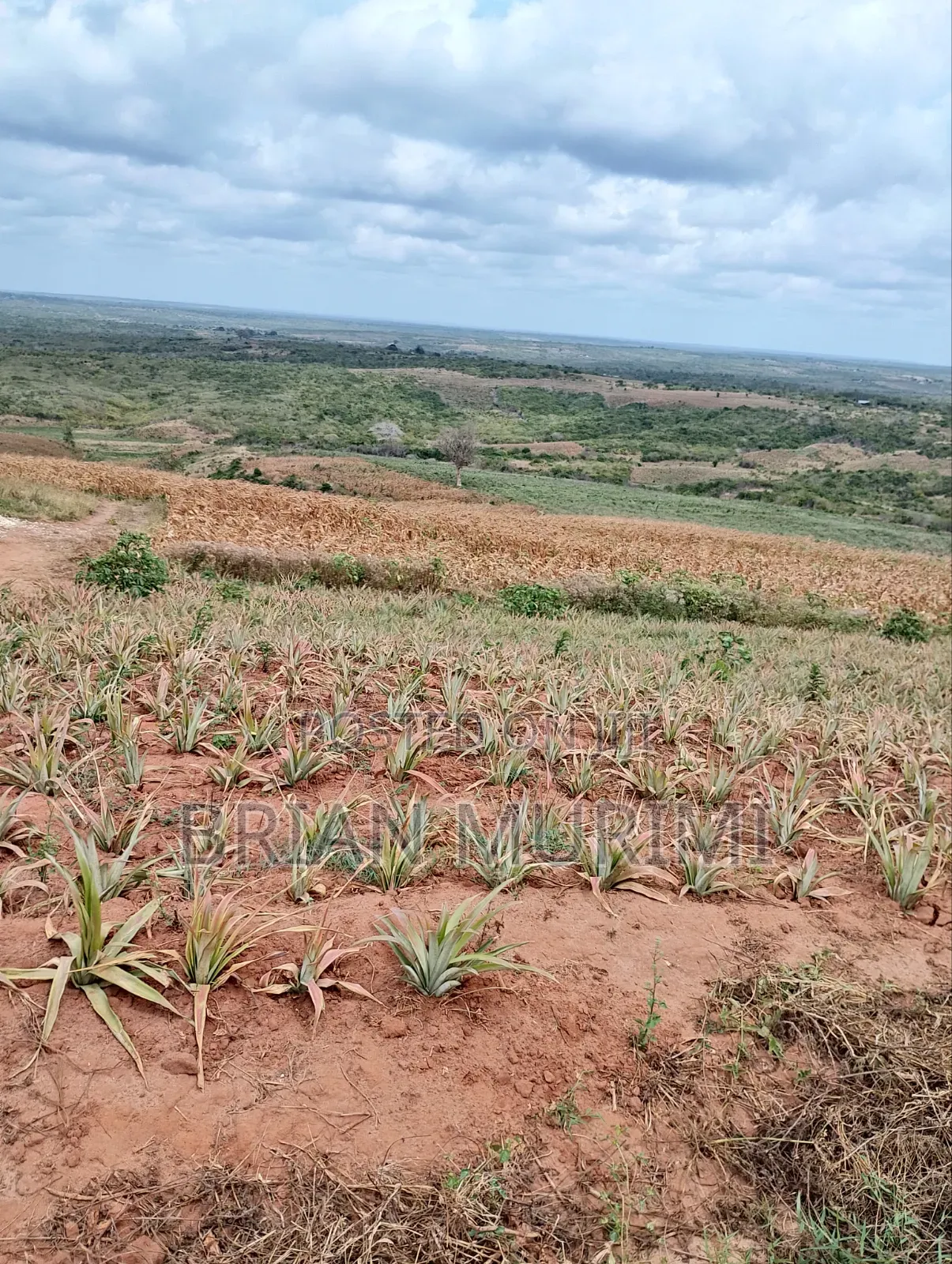 20 Acres Prime Land