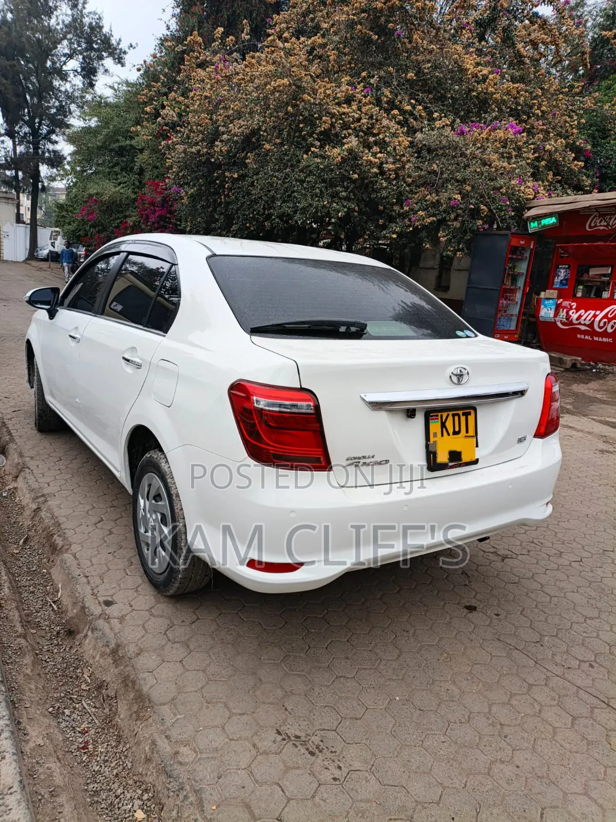 Toyota Axio 2018 Pearl