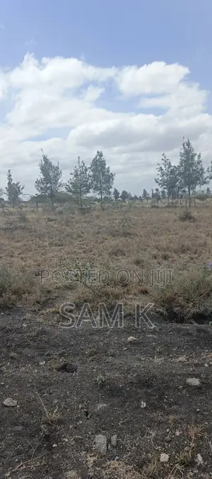 Half an Acre Plot for Sale in Kaputiei North!