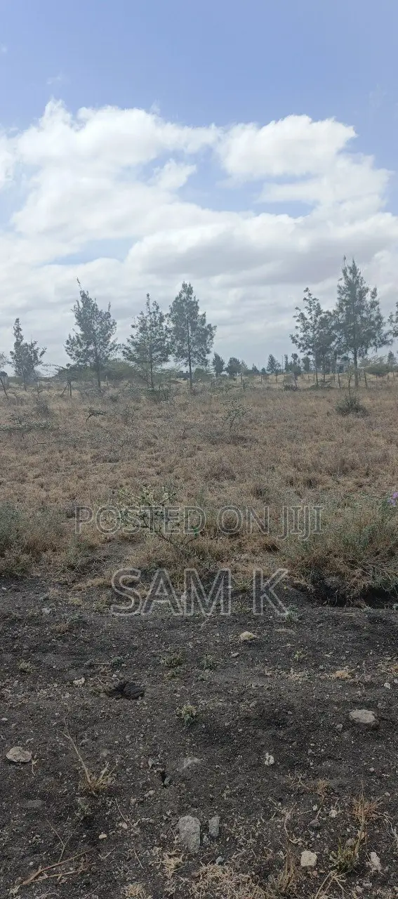 Half an Acre Plot for Sale in Kaputiei North!