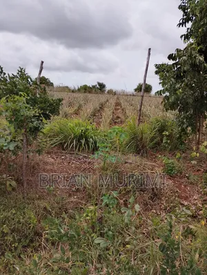 15 Acres Prime Land