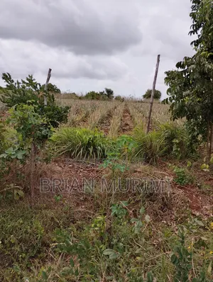 15 Acres Prime Land