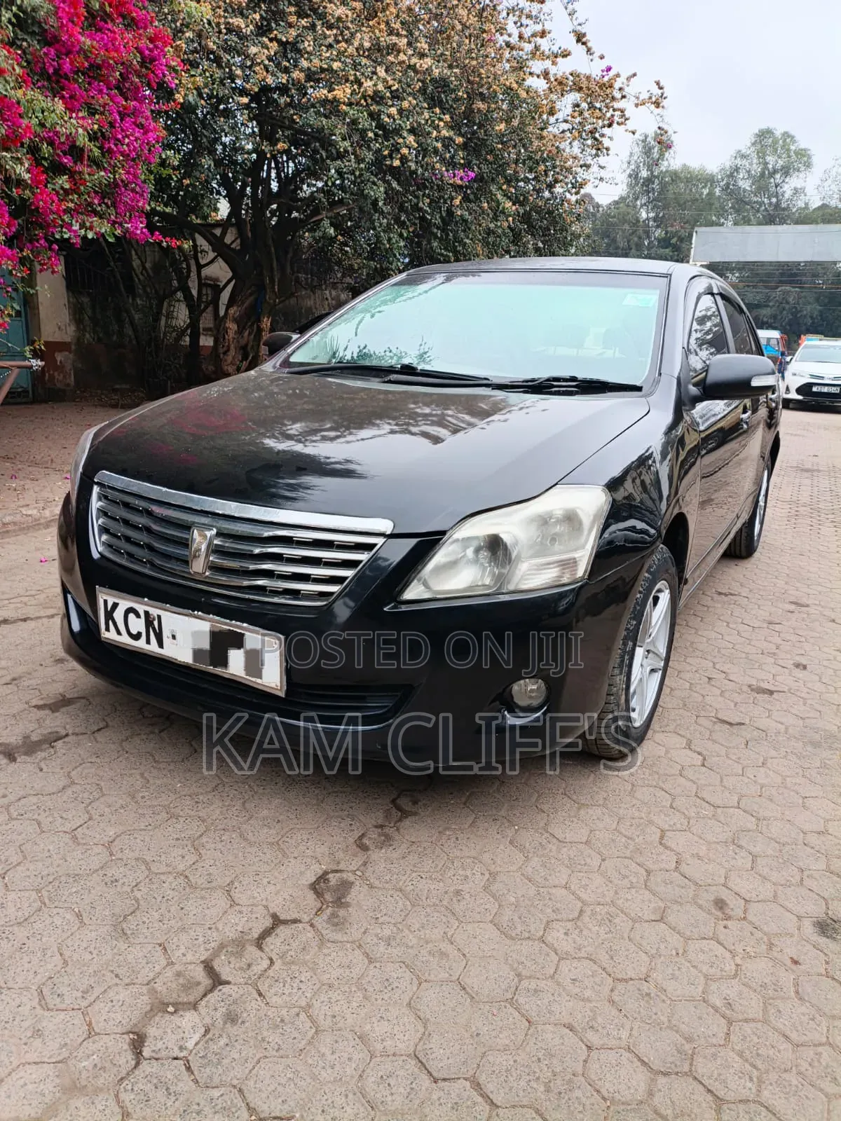 Toyota Premio 2010 Black