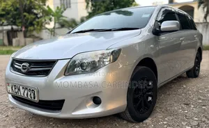 Toyota Corolla Fielder 2010 Silver