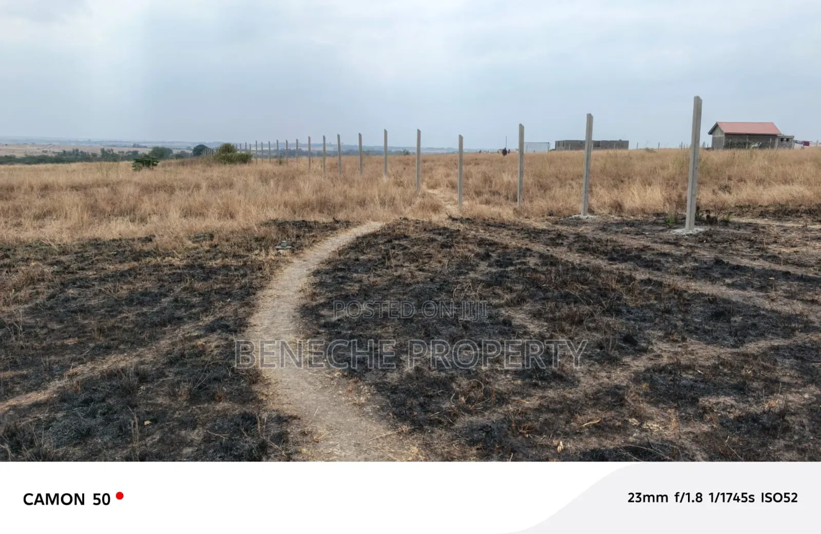 Affordable Plots for Sale