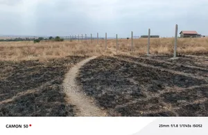 Affordable Plots for Sale
