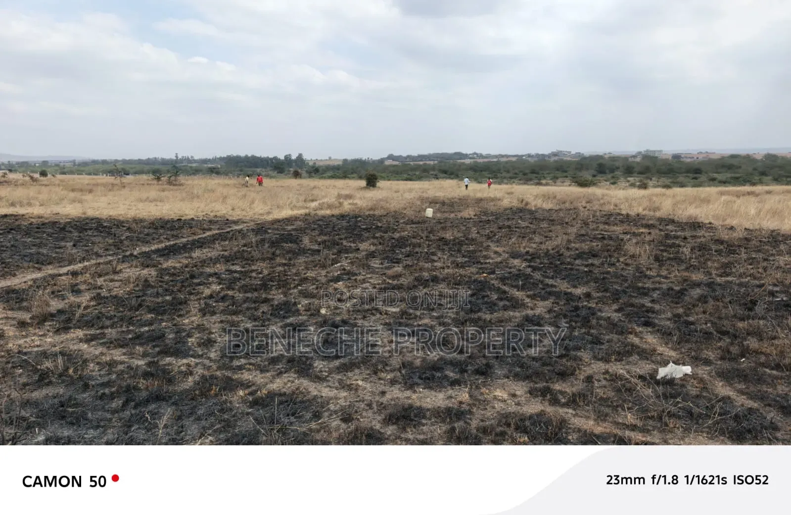Affordable Plots for Sale