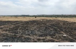 Affordable Plots for Sale
