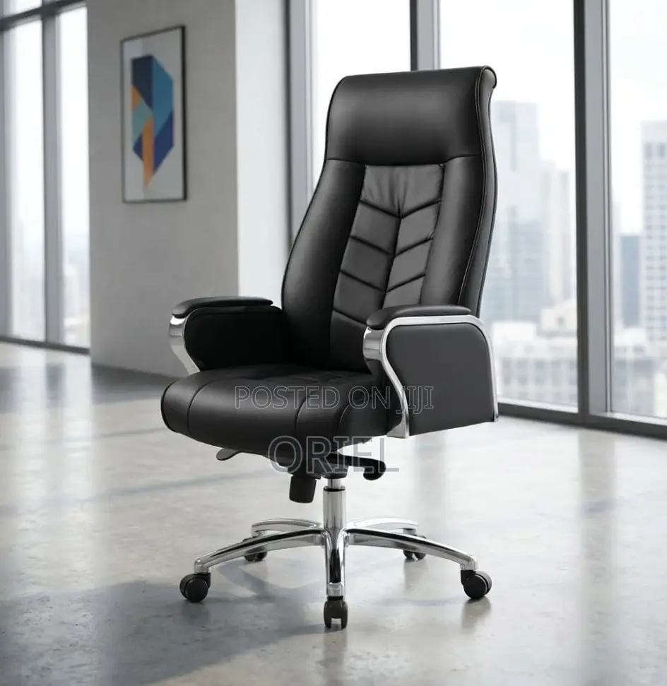 Office Chair : Luxury High Back Executive Office Director Chair