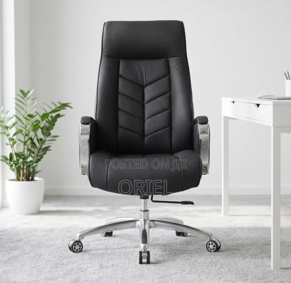Office Chair : Luxury High Back Executive Office Director Chair
