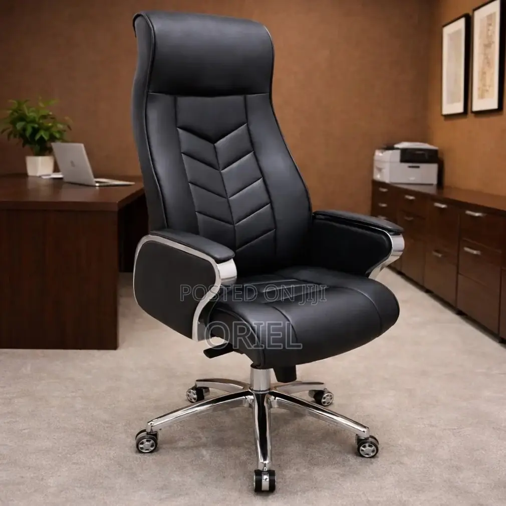 Office Chair : Luxury High Back Executive Office Director Chair