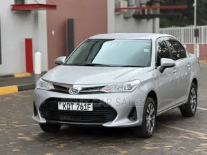 Toyota Axio 2018 Silver