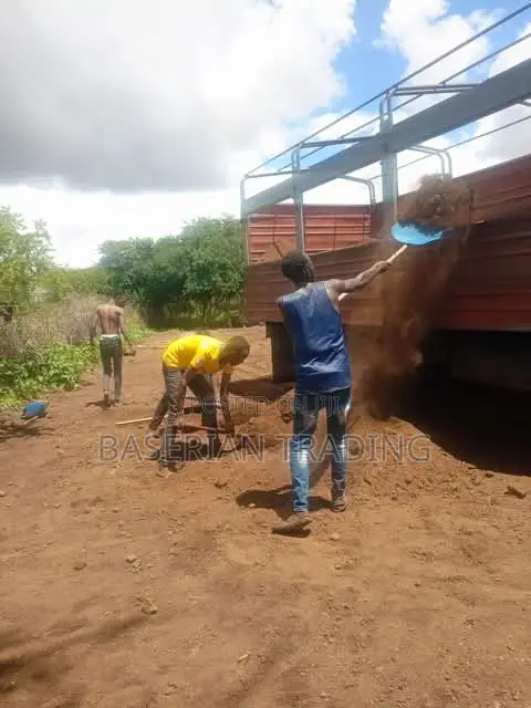Goat Sheep Manure