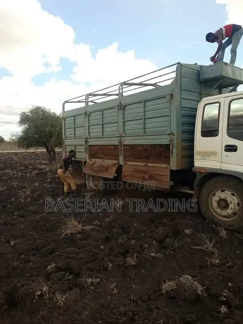 Goat Sheep Manure