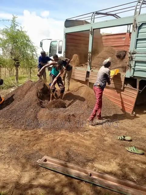 Goat Sheep Manure