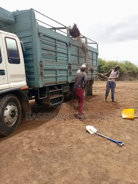Goat Sheep Manure