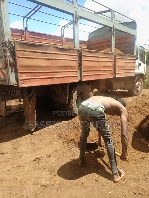 Goat Sheep Manure
