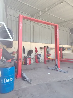 Smooth and Controlled Operation 2post Carlift 4tns Machine Sunshine