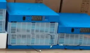 Eggs Incubator 64 Eggs Automatic Incubator