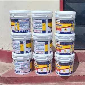 Factory Prices 20L30L,40L Ruff N Tuff Wall Master Textured Paints