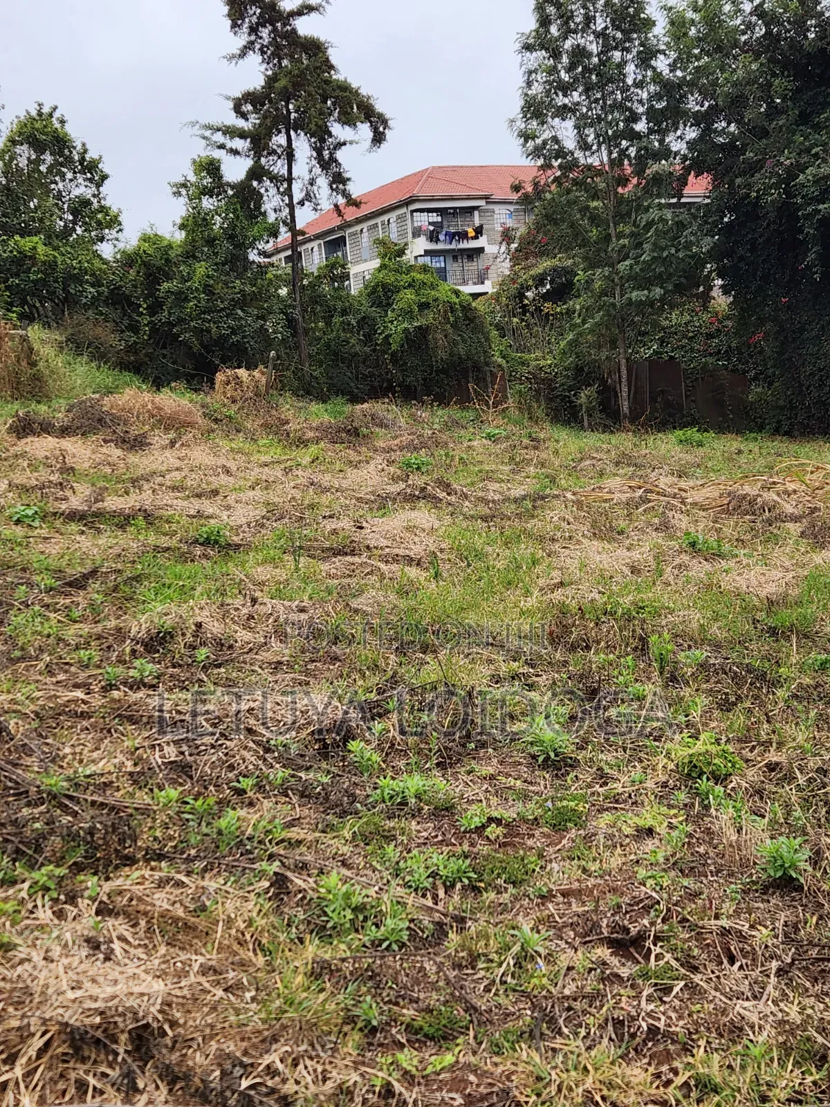 Very Prime 1⁄4 Acre Ngong [PEC House]