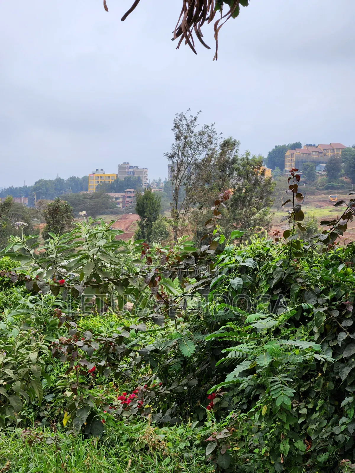 Very Prime 1⁄4 Acre Ngong [PEC House]