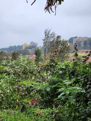 Very Prime 1⁄4 Acre Ngong [PEC House]