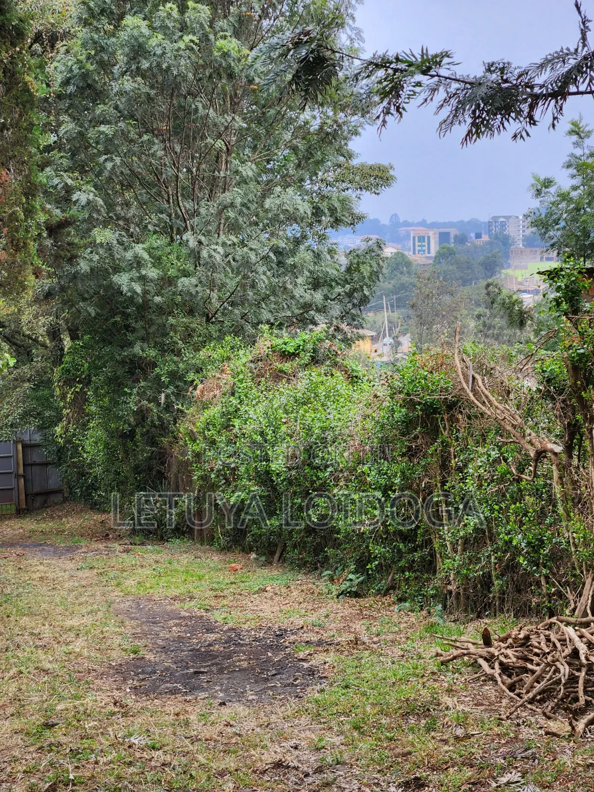 Very Prime 1⁄4 Acre Ngong [PEC House]