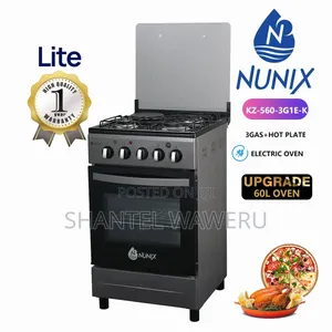 New Model 50*55 Nunix 3+1 Standing Cooker at 16000